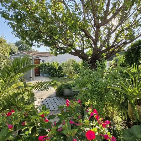 Georges De Didonne - Petite Maison Avec Son Petit Coin De Paradis Extérieur Saint-Georges-de-Didonne